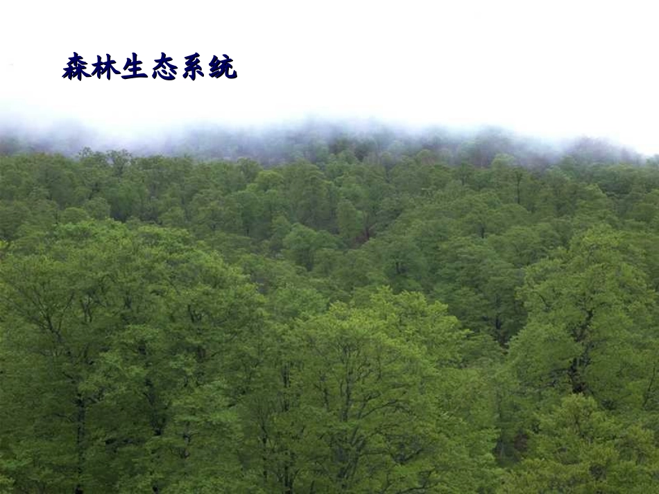 生物圈是最大的生态系统 (2)_第2页