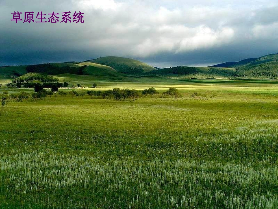 生物圈是最大的生态系统 (2)_第3页