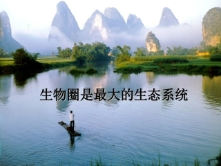 生物圈是最大的生态系统 (2)