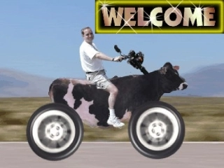 人教必修4Unit3AtasteofEnglishhumour