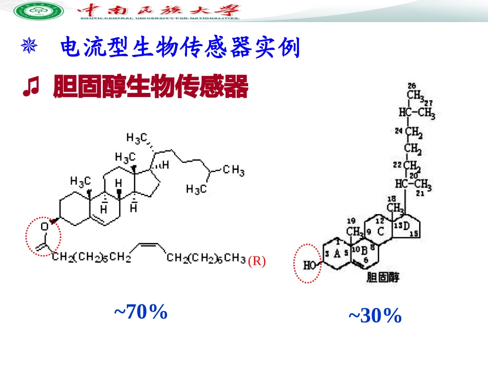 电化学传感器和生物传感器-3(12)_第3页