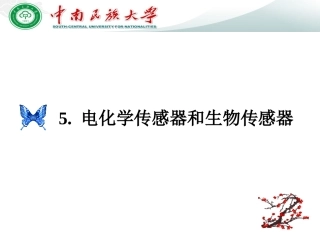 电化学传感器和生物传感器-3(12)