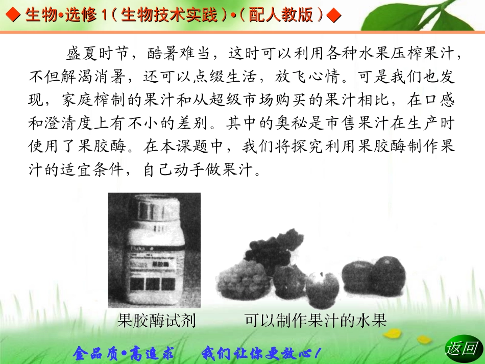 4.1《果胶酶在果汁生产中的作用》---课件-周成勋_第3页
