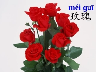 《小鹿的玫瑰花》课件修改版