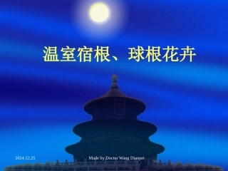 温室宿根和球根花卉