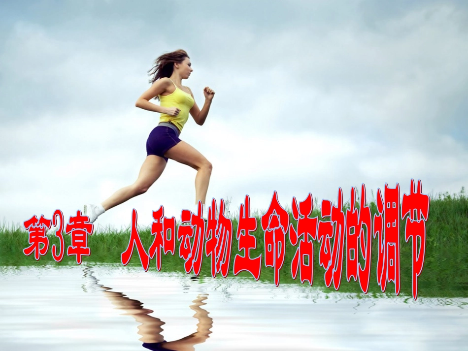 人和动物生命活动的调节复习_第1页