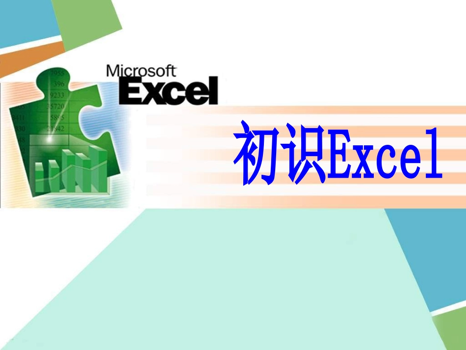 中学信息技术-《认识Excel电子表格》用_第1页