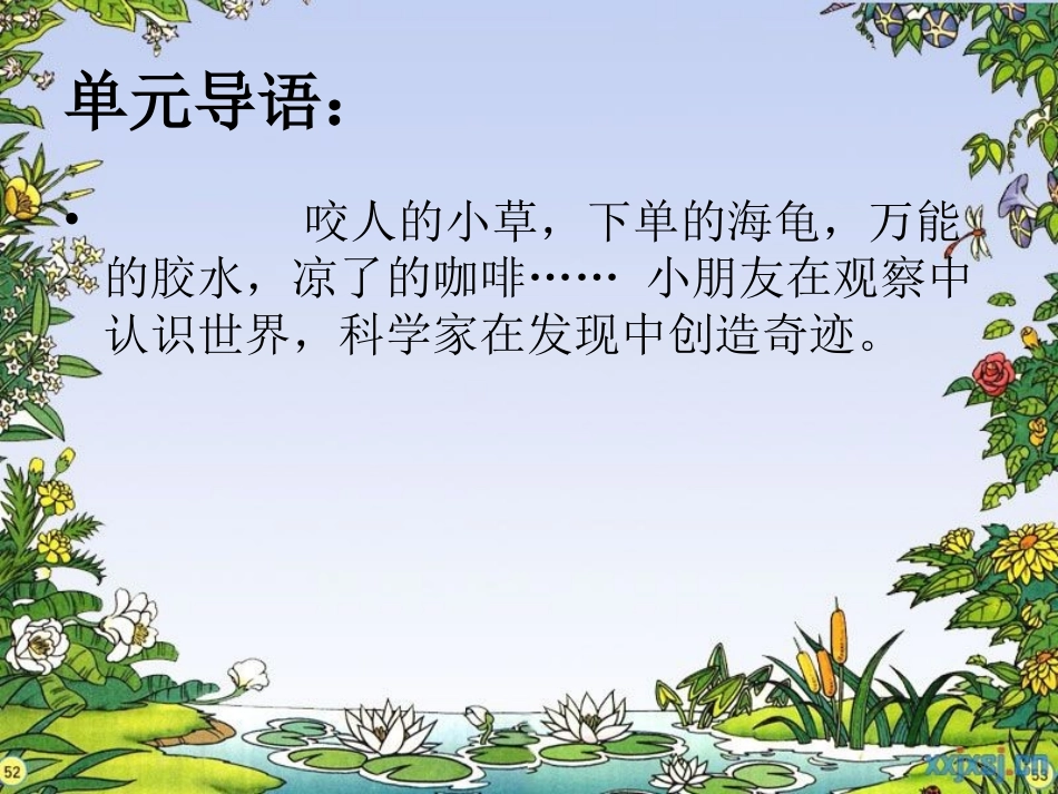 13课.花钟ppt_第3页