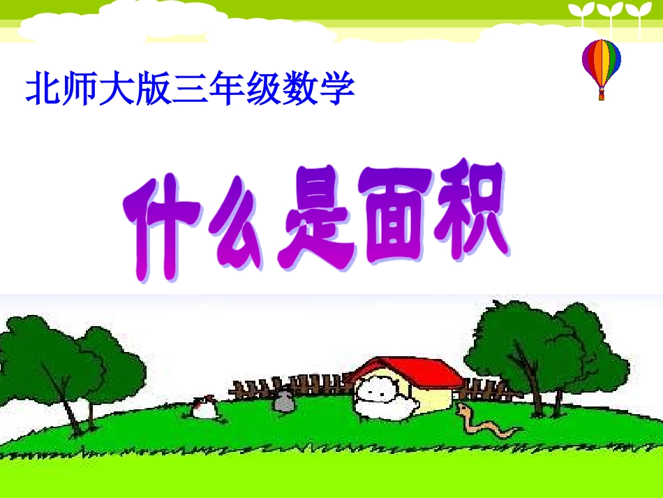 什么是面积PPT_第1页