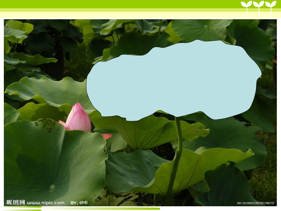 什么是面积PPT_第2页