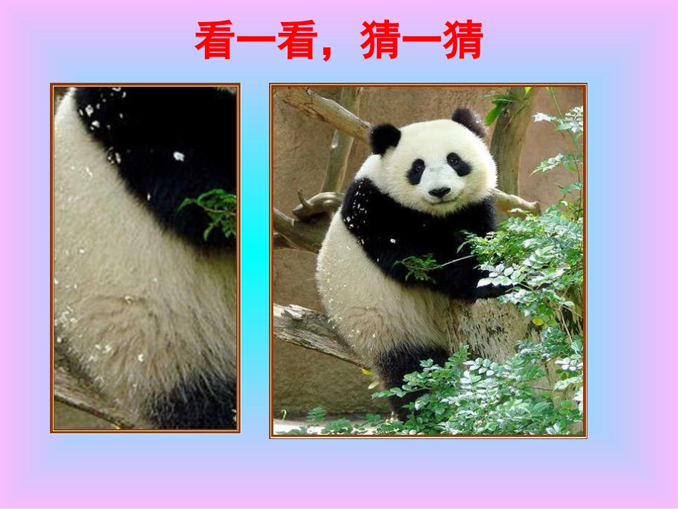 2013人教版小学数学二年级上册《观察物体》课件_第3页