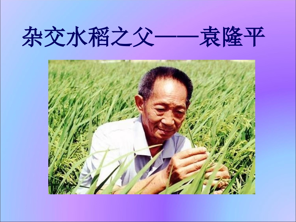 杂家水稻之父——袁隆平_第1页