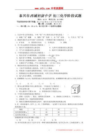 江苏省泰兴市西城中学2015届九年级12月阶段测试化学试题