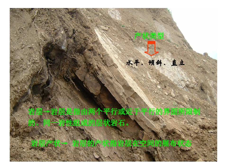 岩层及其产状_第2页