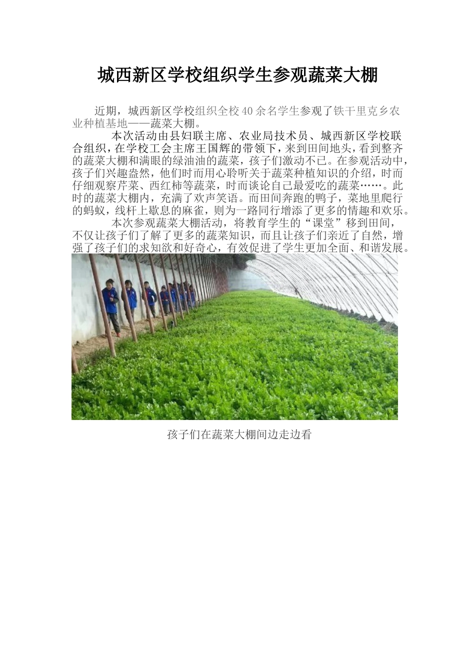 城西新区学校组织学生参观蔬菜大棚_第1页