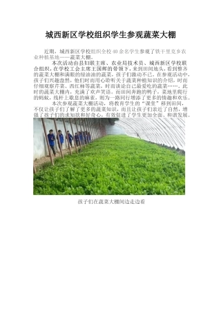 城西新区学校组织学生参观蔬菜大棚