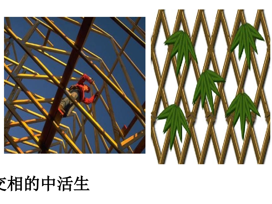 5.1.1相交线_第2页