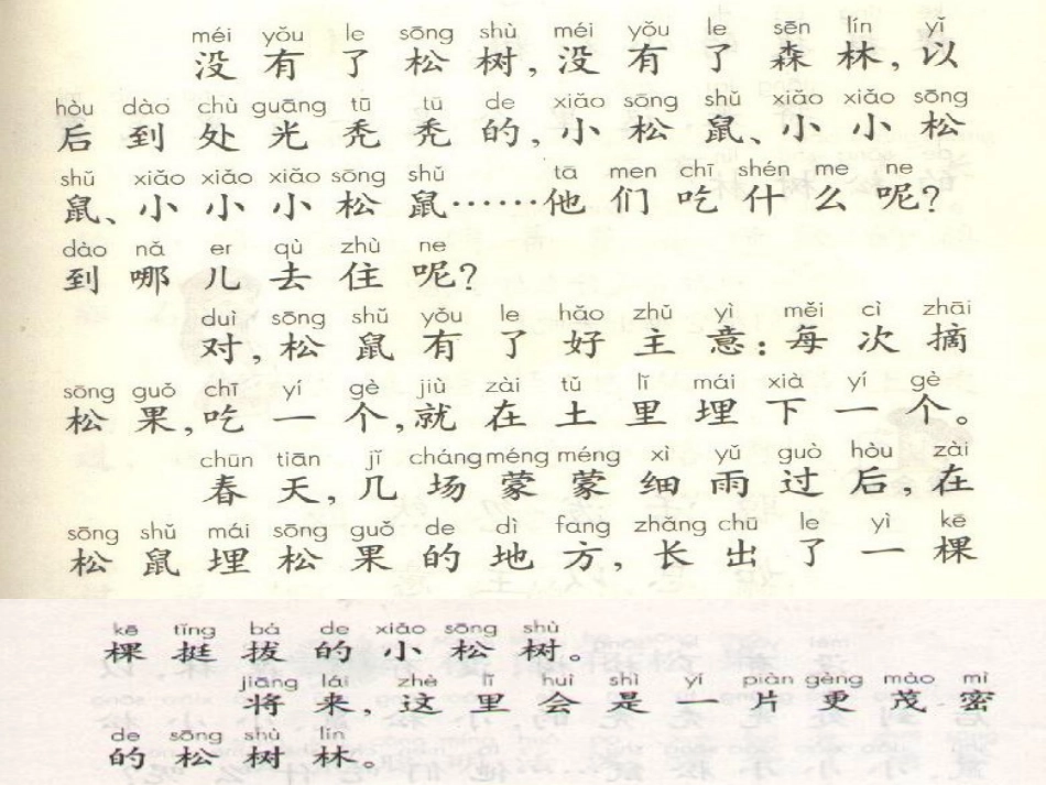 10、《松鼠和松果》课件2_第3页