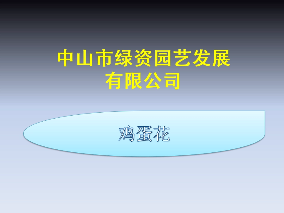 苗木,花木,花卉,绿化,园林之鸡蛋花知多少_第1页