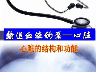 输送血液的泵——心脏修改版
