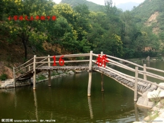 钓鱼的启示课堂教学案例()