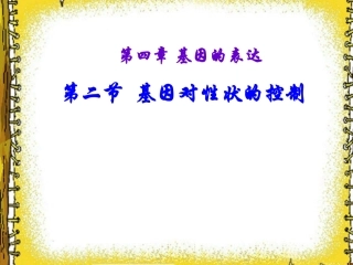 人教版高中生物课件：基因对性状的控制