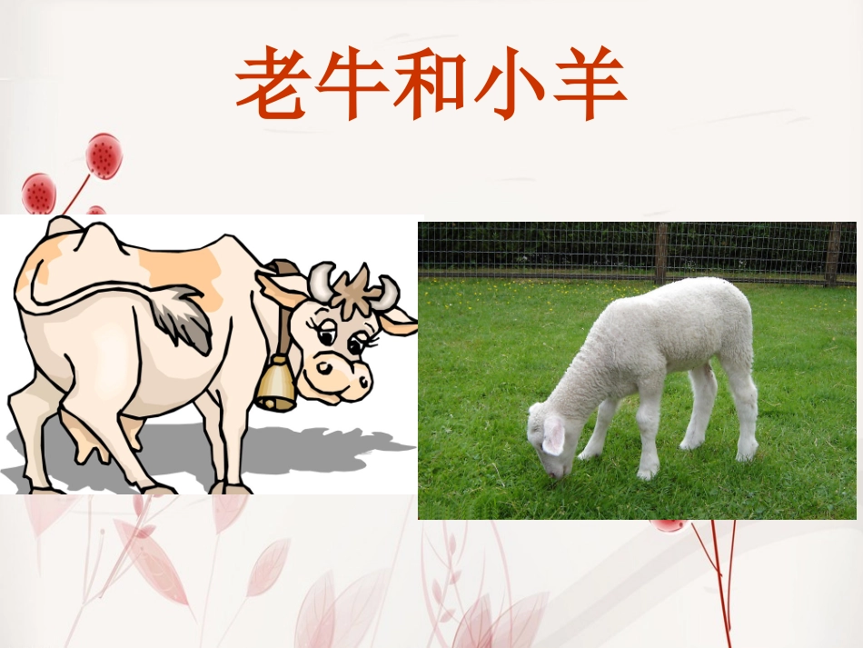 《老牛和小羊》课件_第1页