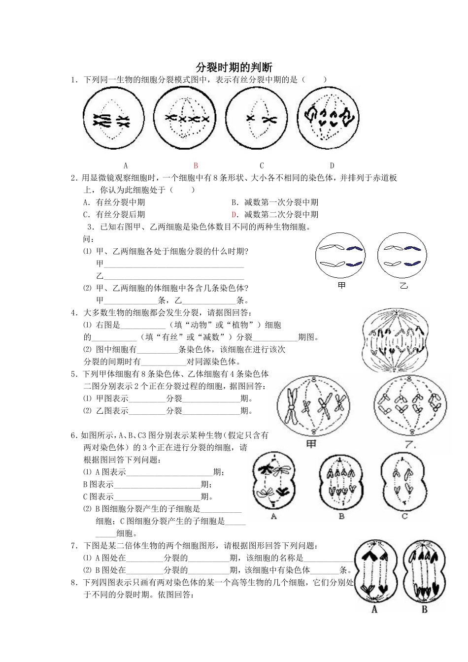 分裂图像鉴定_第1页