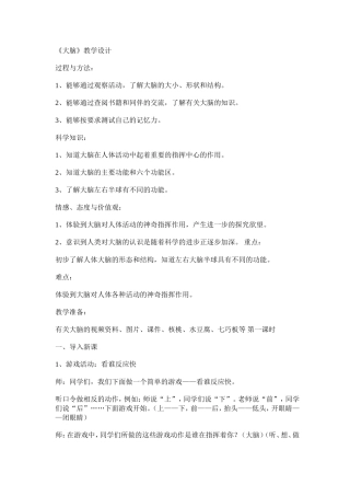 大脑教学设计