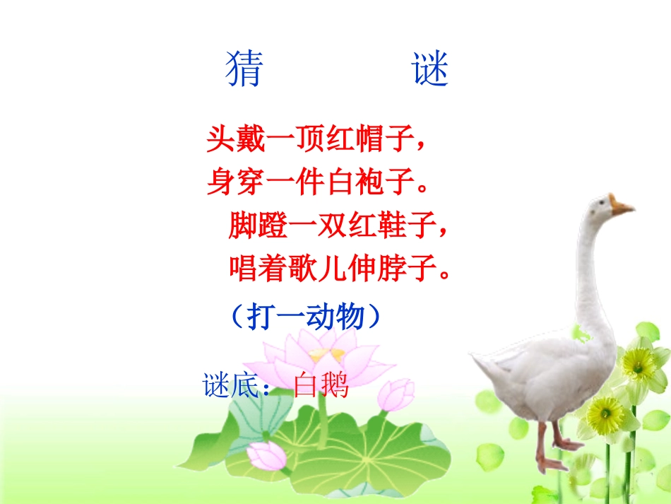 《白鹅》教学课件1_第2页