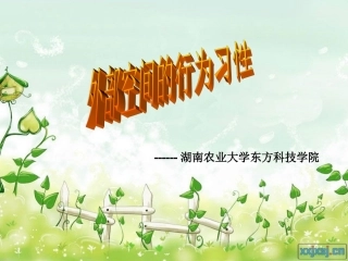 外部空间的行为习性