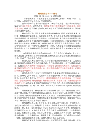 最精制的蜂鸟