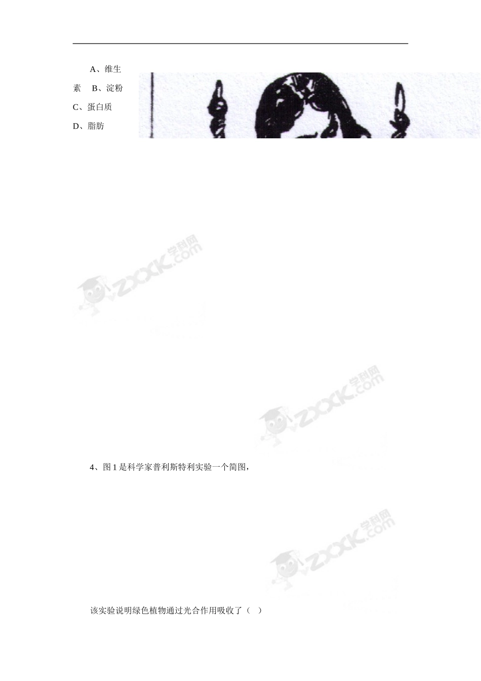 《绿色植物是生物圈中有机物的制造者》习题2_第3页