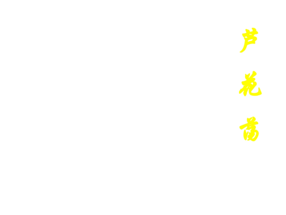 《芦花荡》课件6_第1页
