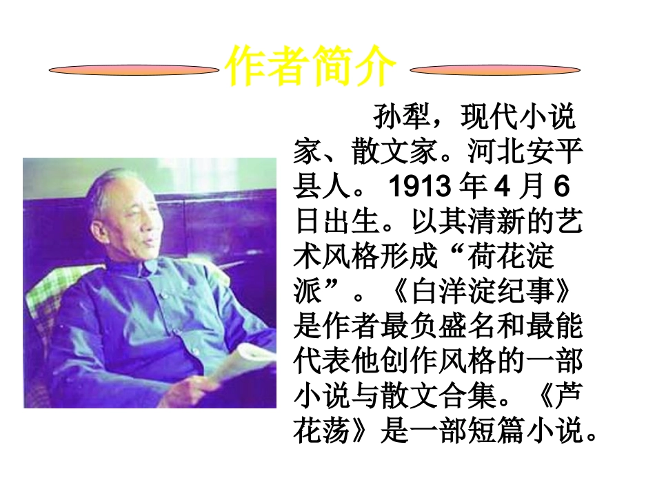 《芦花荡》课件6_第2页