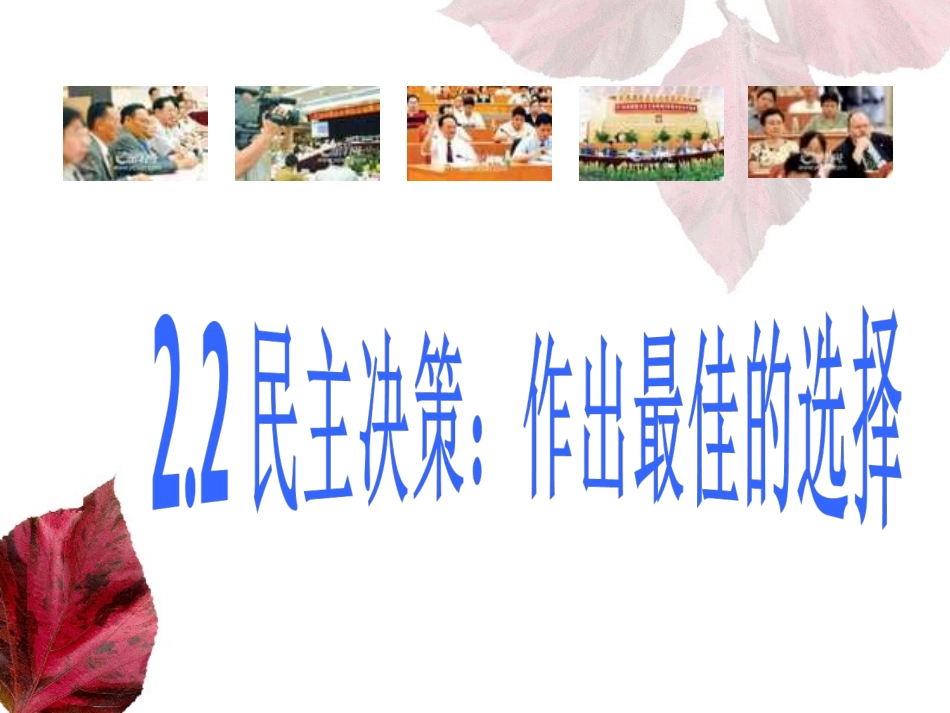 2.2民主决策_第1页