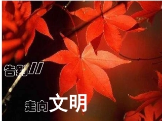 告别陋习-走向文明