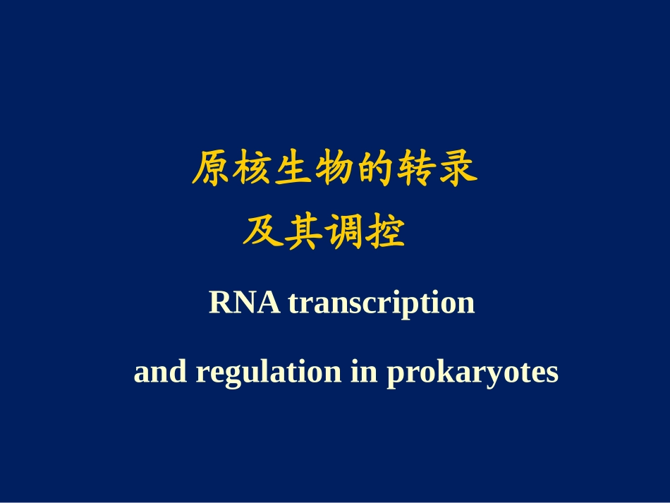 原核生物的转录及调控_第1页
