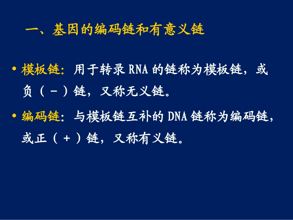 原核生物的转录及调控_第3页