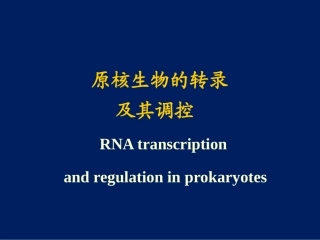 原核生物的转录及调控
