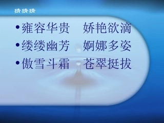 仙人掌作文教学课件