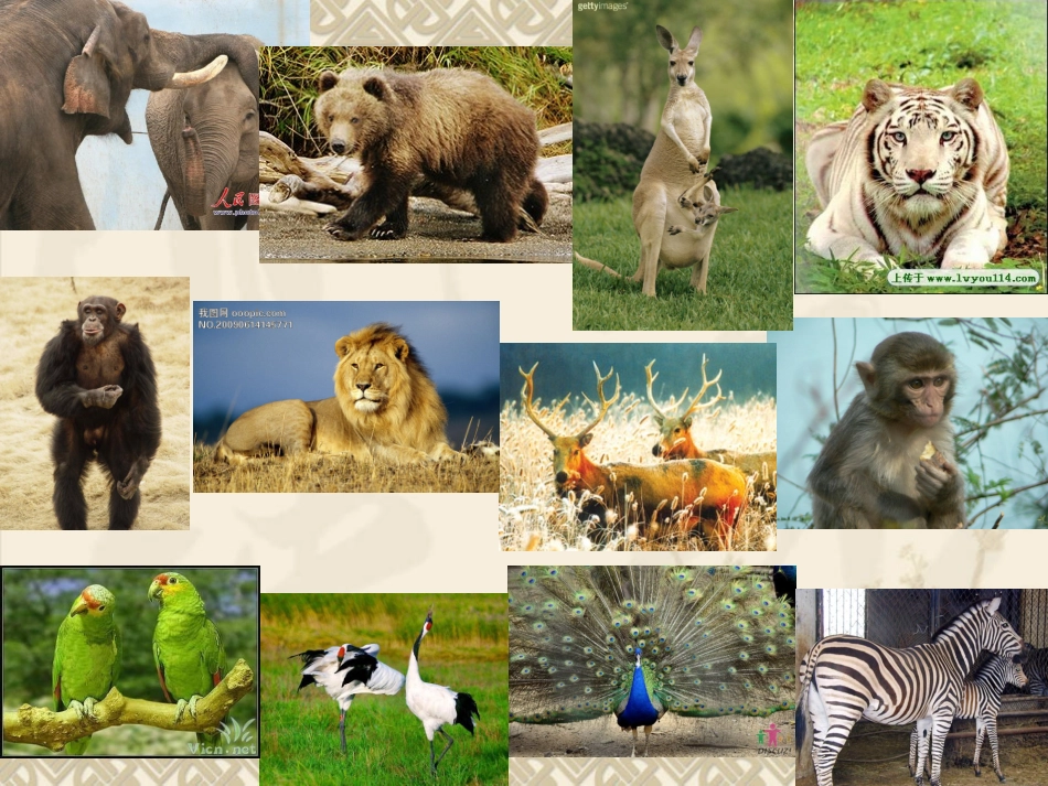 (苏教版)二年级语文下册课件-识字6-1_第1页