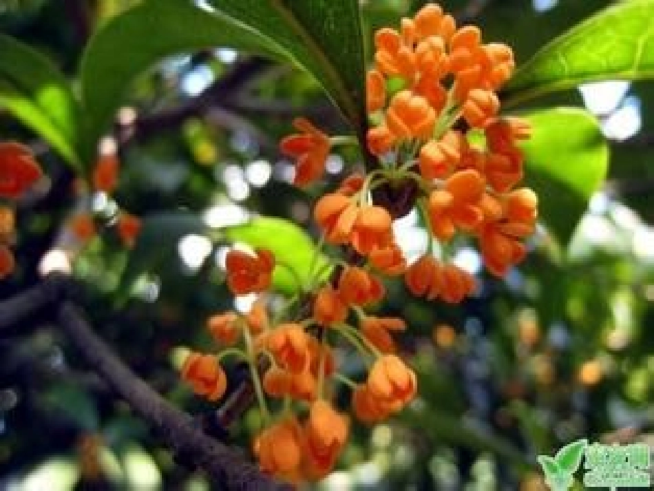 大自然的语言 (4)_第3页