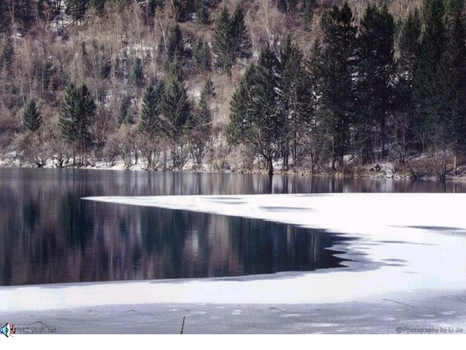 三年级下册科学6冷水与热水_第2页