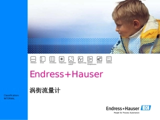 E+H涡街流量计