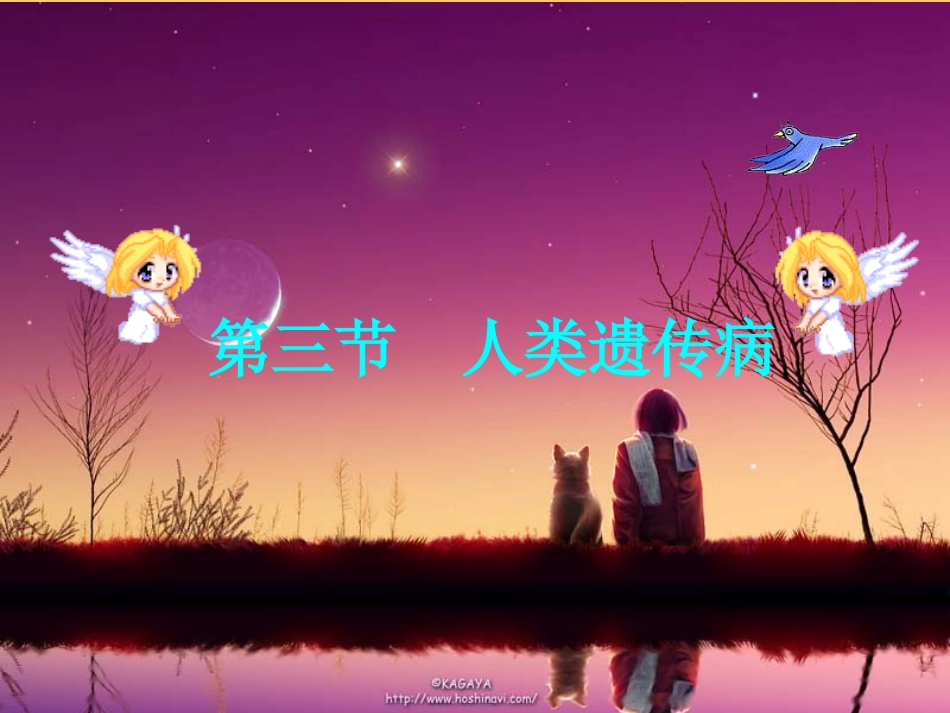 人类遗传病与优生-----上课课件)_第1页