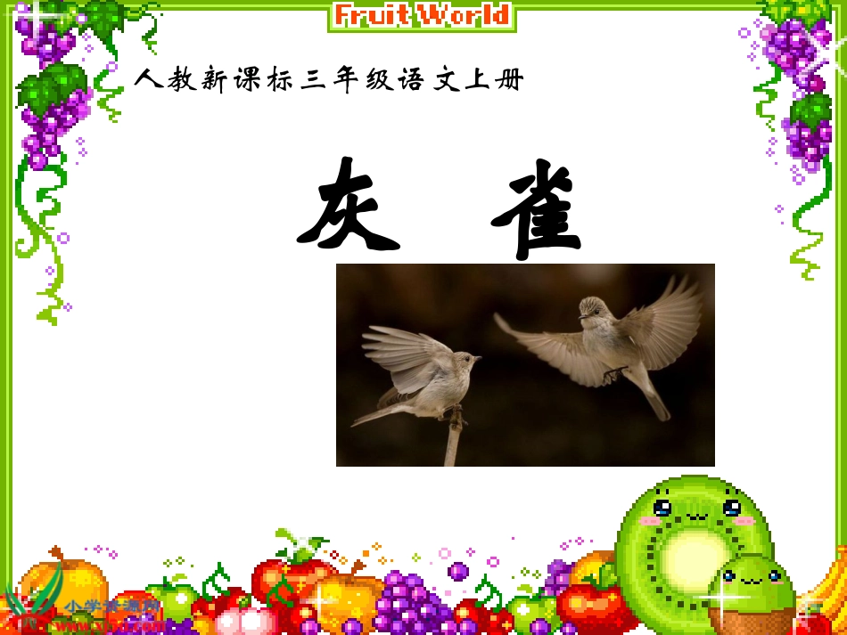 灰雀PPT课件_第1页