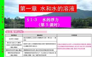 1.3水的浮力-第五课时