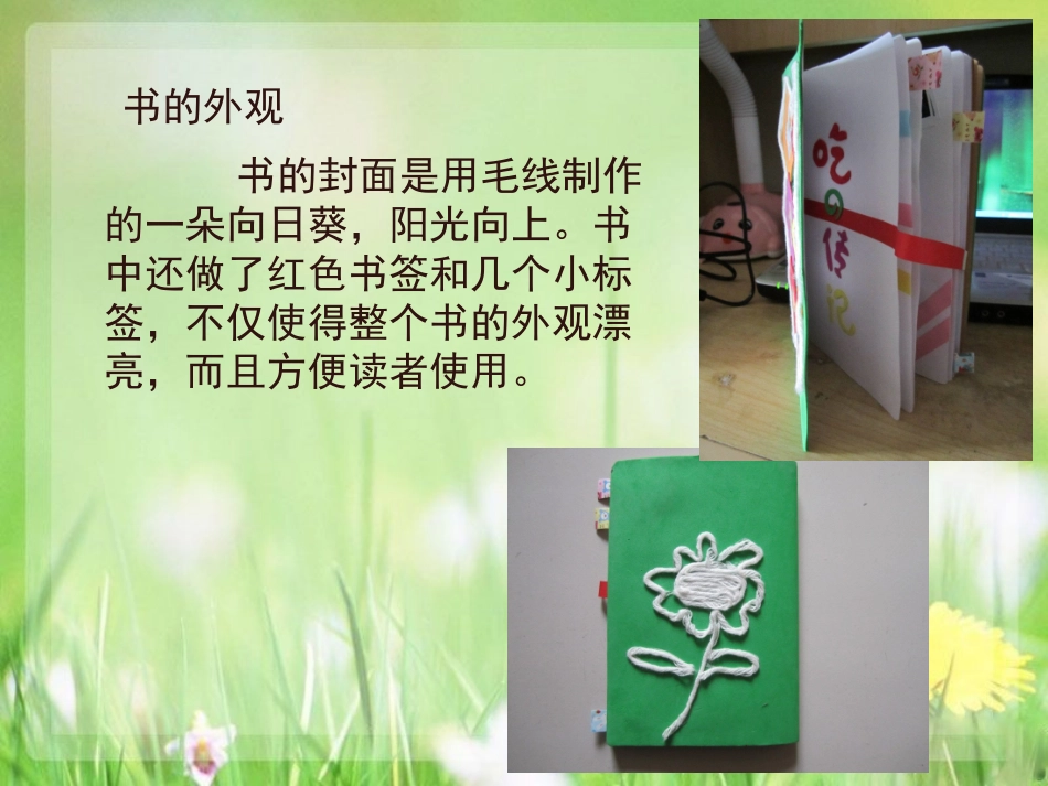 手工制作书籍装帧_第3页