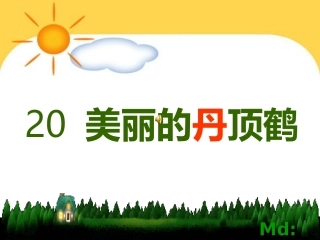 《美丽的丹顶鹤》课件